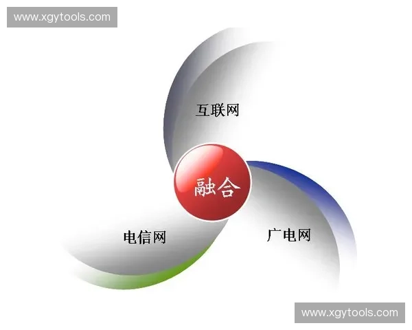跨联赛融合推动全球体育生态协同可持续发展的战略创新路径探索 跨联赛融合推动全球体育生态协同可持续发展的战略创新路径探索