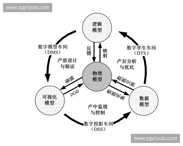 力量梯度驱动的多层级能力演化机制与实践应用体系综合研究框架