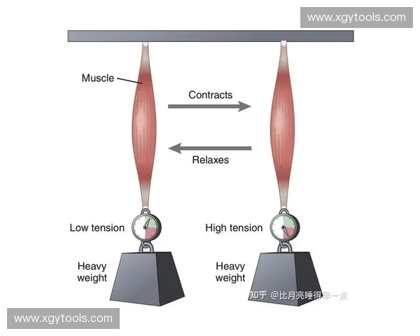 等张收缩现象的研究与应用探索:理论基础、实验分析与工程实践 等张收缩现象的研究与应用探索:理论基础、实验分析与工程实践